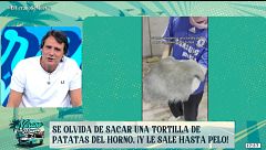 Se olvida de sacar una tortilla de patatas del horno... ¡y le sale hasta pelo!: las imágenes, en 'El verano se mueve'