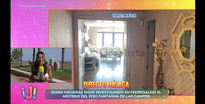 Cronología de los hechos del piso en venta de las Campos en Málaga: un "enigma" y la mano que estaría detrás de todo