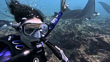 El impresionante encuentro con las mantarrayas de los invitados en las aguas cristalinas de Maldivas