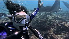 El impresionante encuentro con las mantarrayas de los invitados en las aguas cristalinas de Maldivas