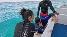 El mareo de Montoya tras su inmersión con mantarrayas preocupa a sus compañeros: “¡Está vomitando!”