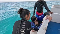 El mareo de Montoya tras su inmersión con mantarrayas preocupa a sus compañeros: “¡Está vomitando!”