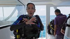Lorena Castell vence su miedo al mar en una inmersión inolvidable: “No me imaginaba que iba a ser capaz”