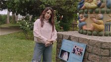 La pardela cenicienta, el ave que se convirtió en embajadora de Oleiros: “Era una más de la pandilla”