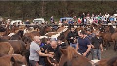 Viajeros Cuatro’ asiste a la tradicional Rapa das Bestas: “Es una actividad muy peligrosa”