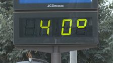 La ola de calor extrema transforma la vida cotidiana y obliga a buscar refugio frente a temperaturas cercanas a los 40 grados