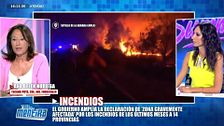 Ana Belén, presidenta del Colegio de Ingenieros Forestales, advierte del elevado riesgo que afronta España por el cambio climático: "Estábamos en una situación vulnerable"