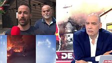 Una familia de Castellón salva su casa talando los pinos que la rodean: “La vida de un humano vale más que cuatro árboles”