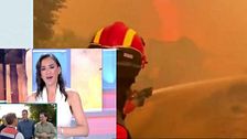 Patricia Pardo, indignada con las organizaciones animalistas: "Hacen mucho ruido en redes y luego no ayudan de verdad"