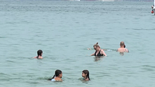 El mar pierde su efecto refrescante: el Mediterráneo registra temperaturas récord y cambia la vida bajo el agua