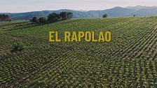‘El rapolao’, el vino que representa uno de los sueños de Raúl Pérez