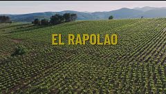 ‘El rapolao’, el vino que representa uno de los sueños de Raúl Pérez