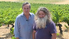 P36 - Raúl Pérez, el druida del vino