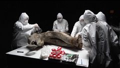 Los extraños colmillos de mamut hallados con marcas humanas en un yacimiento ucraniano