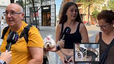 Así es como la calle cuida a sus mascotas del calor en verano