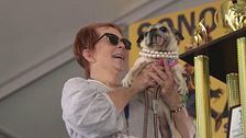 El concurso del perro más feo del mundo ya tiene ganadora en California