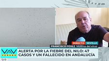 Alerta en Sevilla por la fiebre del Nilo: "Tardé un mes y medio en poder volver a andar bien"