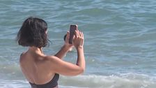 Vacaciones sin desconexión: el cerebro necesita descansar del móvil para salir de su estado de alerta permanente, según los expertos