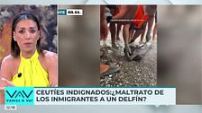 Patricia Pardo, indignada por el vídeo de un delfín maltratado por migrantes en Ceuta: "Hay niños en la calle que se mueren de hambre"