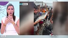 Patricia Pardo, rectifica y pide disculpas: "Condeno el maltrato animal y la invasión a Ceuta, pero también abogo por los derechos humanos"