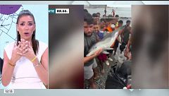 Patricia Pardo, rectifica y pide disculpas: "Condeno el maltrato animal y la invasión a Ceuta, pero también abogo por los derechos humanos"