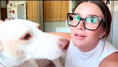 Sandra cuenta con quién va a quedarse su perro tras mudarse con su novio