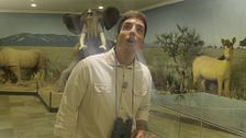 Xuso Jones, impresionado en el Museo de Ciudad Real: ''Esto es un mastodonte''