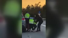 Cinco hombres se hacen pasar por policías y secuestran a un conductor en plena AP-7 en Barcelona: la víctima apareció ensangrentada a las horas