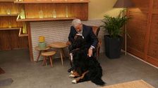 Carlos Sobera charla con su mascota: “Los perros también sois celestinos”