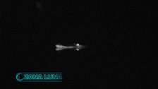 Un cocodrilo se deja ver en ‘Playa Luna’ bajo la luz de la luna mientras los concursantes descansan: las imágenes