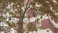 Detenido en Benidorm por matar a su pareja y trasladar el cadáver con ayuda de dos conocidos a Finestrat
