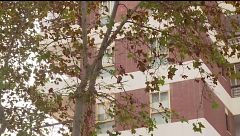Detenido en Benidorm por matar a su pareja y trasladar el cadáver con ayuda de dos conocidos a Finestrat