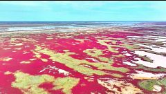 La ‘alfombra roja’ del Río Amarillo, en China: una planta lo tiñe todos los otoños