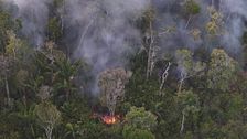 Argentina anuncia la reapertura del Parque Nacional de Iguazú tras la crecida del río mientras el Amazonia sigue ardiendo