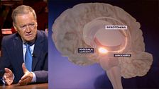 El doctor Tomás Camacho explica en qué momento del sueño se producen las pesadillas