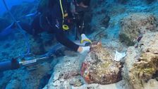 Hallan el pecio más antiguo del mundo en la Isla de Kekova (Turquía)