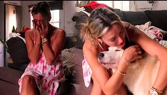 Leila aclara con quién va a quedarse su perro: su lacrimógena despedida