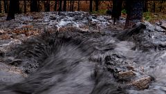 Preocupación por las aguas tóxicas del incendio en 50.000 hectáreas en Madrid y Ávila