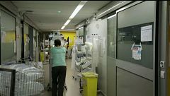 El virus shamonda infecta por primera vez a un humano: muere un hombre en Francia a pesar de que se le consideraba intransmisible