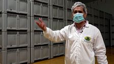 La realidad tras el uso de nitratos y nitritos en la curación del jamón para “producir más rápido y abaratar costes”