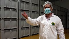 La realidad tras el uso de nitratos y nitritos en la curación del jamón para “producir más rápido y abaratar costes”