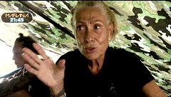 Avance | Rosa Benito habla como nunca de Rocío Carrasco y del daño a Rocío Flores: mañana, en la gala de 'SV All Stars'