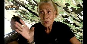 Avance | Rosa Benito habla como nunca de Rocío Carrasco y del daño a Rocío Flores: mañana, en la gala de 'SV All Stars'