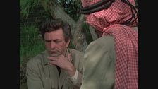 Ep. 29 - Un caso d'immunità - I parte