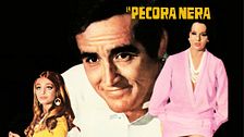 La pecora nera