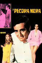 La pecora nera