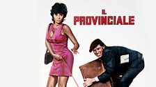 Il provinciale