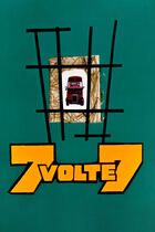 7 volte 7