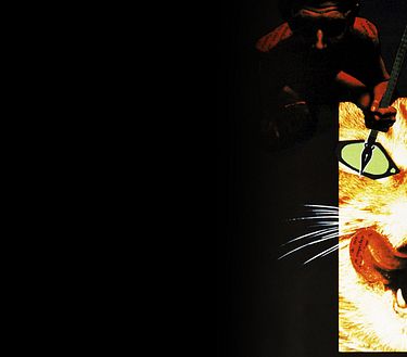 Il maestro e Margherita