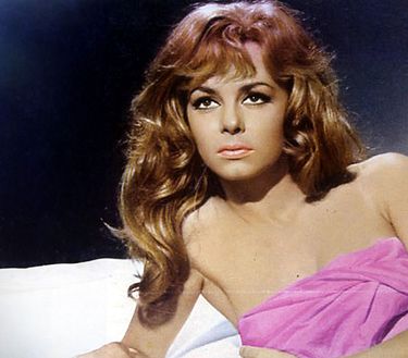 Angelica alla corte del re